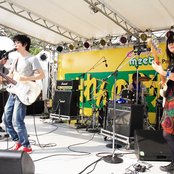 White Ash - List pictures