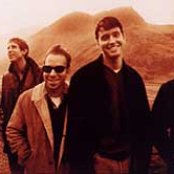 Mercury Rev - List pictures