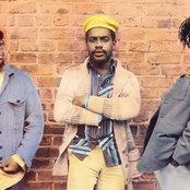 Mighty Diamonds - List pictures