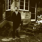 Eels - List pictures