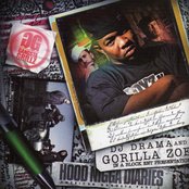 Gorilla Zoe - List pictures