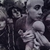 Daisy Chainsaw - List pictures