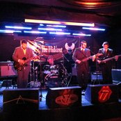 The Lions - List pictures