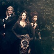 Qntal - List pictures