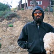 Eels - List pictures