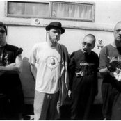 Bad Acid Trip - List pictures