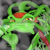 8 Foot Sativa - List pictures