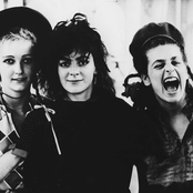 Slits - List pictures