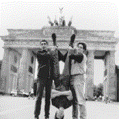 Shellac - List pictures