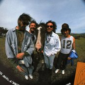 Neil Young & Crazy Horse - List pictures