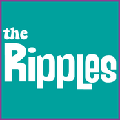 The Ripples - List pictures