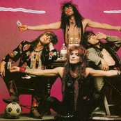 Dogs Damour - List pictures