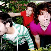 Born Ruffians - List pictures