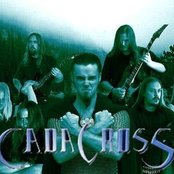Cadacross - List pictures