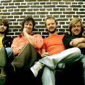 Moss - List pictures