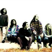 Ozric Tentacles - List pictures