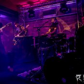 Glass Animals - List pictures