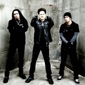 Newsted - List pictures