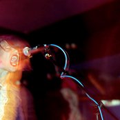 Shannon Wright - List pictures