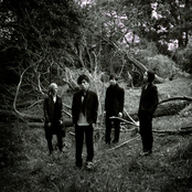 Lillies And Remains - List pictures