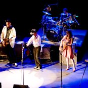 Asleep At The Wheel - List pictures