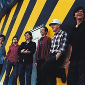 Lambchop - List pictures