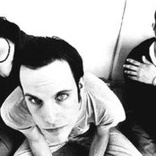 Screamfeeder - List pictures