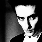 Peter Murphy - List pictures
