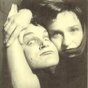 Sons Of The Desert - List pictures