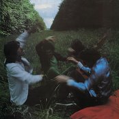 Soft Boys - List pictures