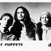 Meat Puppets - List pictures