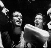 The Cows - List pictures