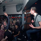 Dinosaur Pile-up - List pictures