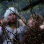 Skating Polly - List pictures