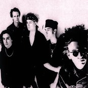 The Wake - List pictures