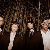 As Tall As Lions - List pictures