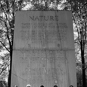 Soldiers Of Jah Army - List pictures