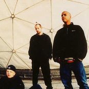 Absolute Beginner - List pictures