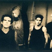 Adena - List pictures