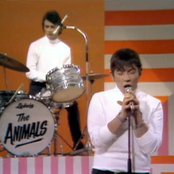 The Animals - List pictures