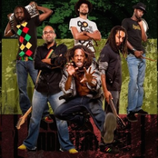 Rootz Underground - List pictures