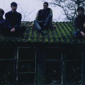 Glass Animals - List pictures