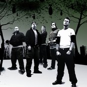 Born From Pain - List pictures