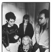 The Gun Club - List pictures