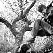 The Coral - List pictures