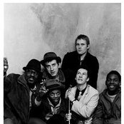 English Beat - List pictures