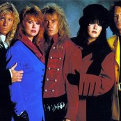 Heart - List pictures