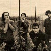 The Afghan Whigs - List pictures