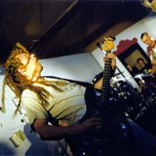 Crashdog - List pictures