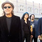 Brave Combo - List pictures